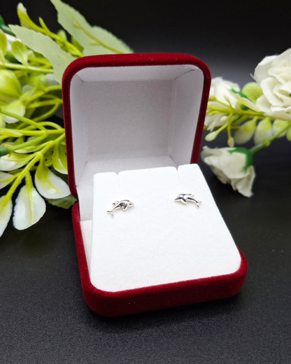 Aros Abridores Delfín de Plata